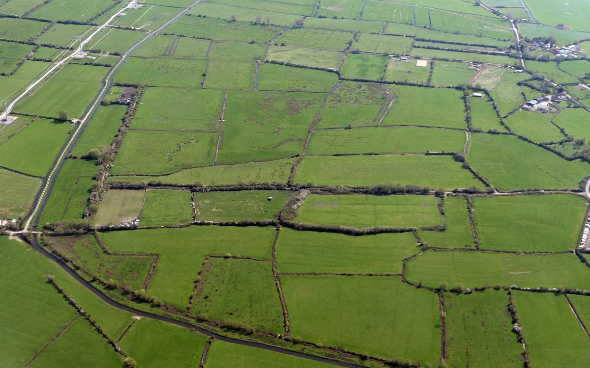 Aerial view of a patchwork of green fields divided by hedgerows and drainage ditches on Puxton Moor, North Somerset Levels